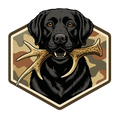 Black Lab and Antlers