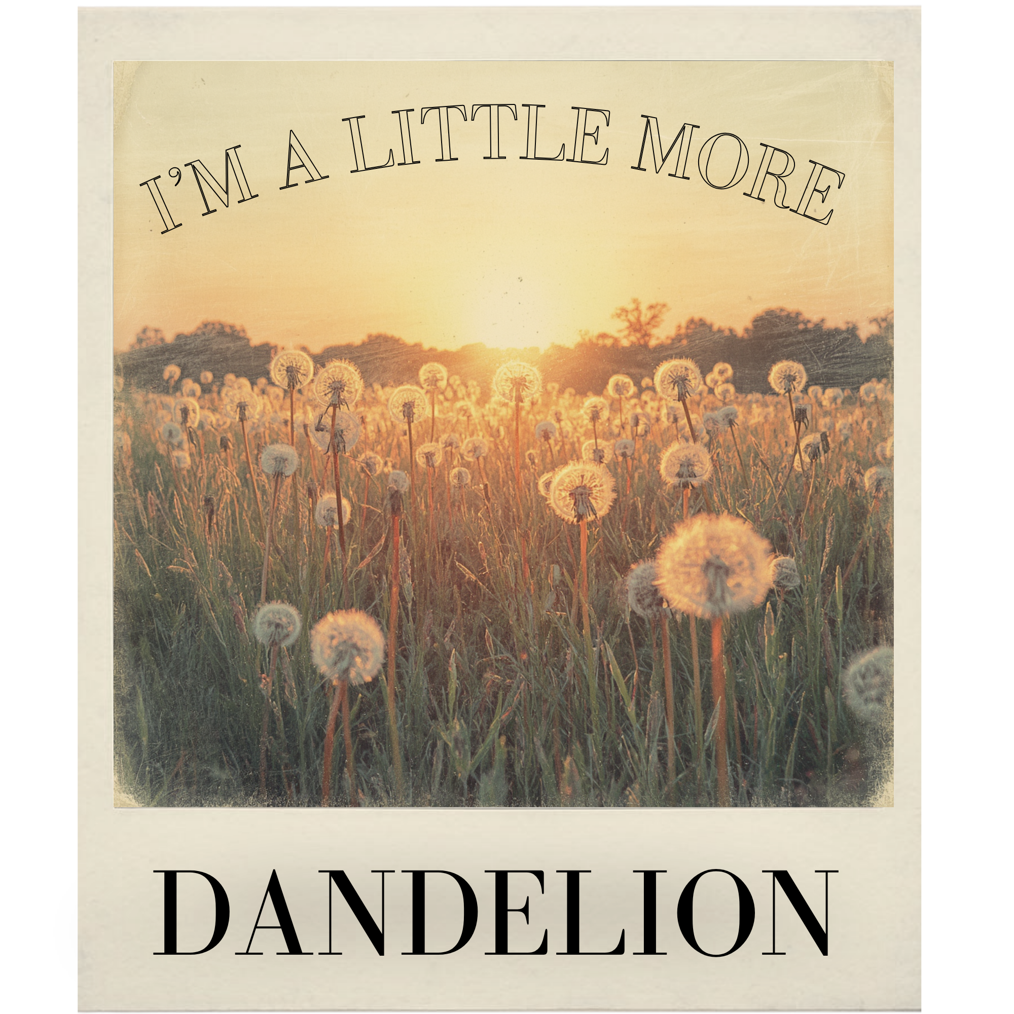 Dandelion