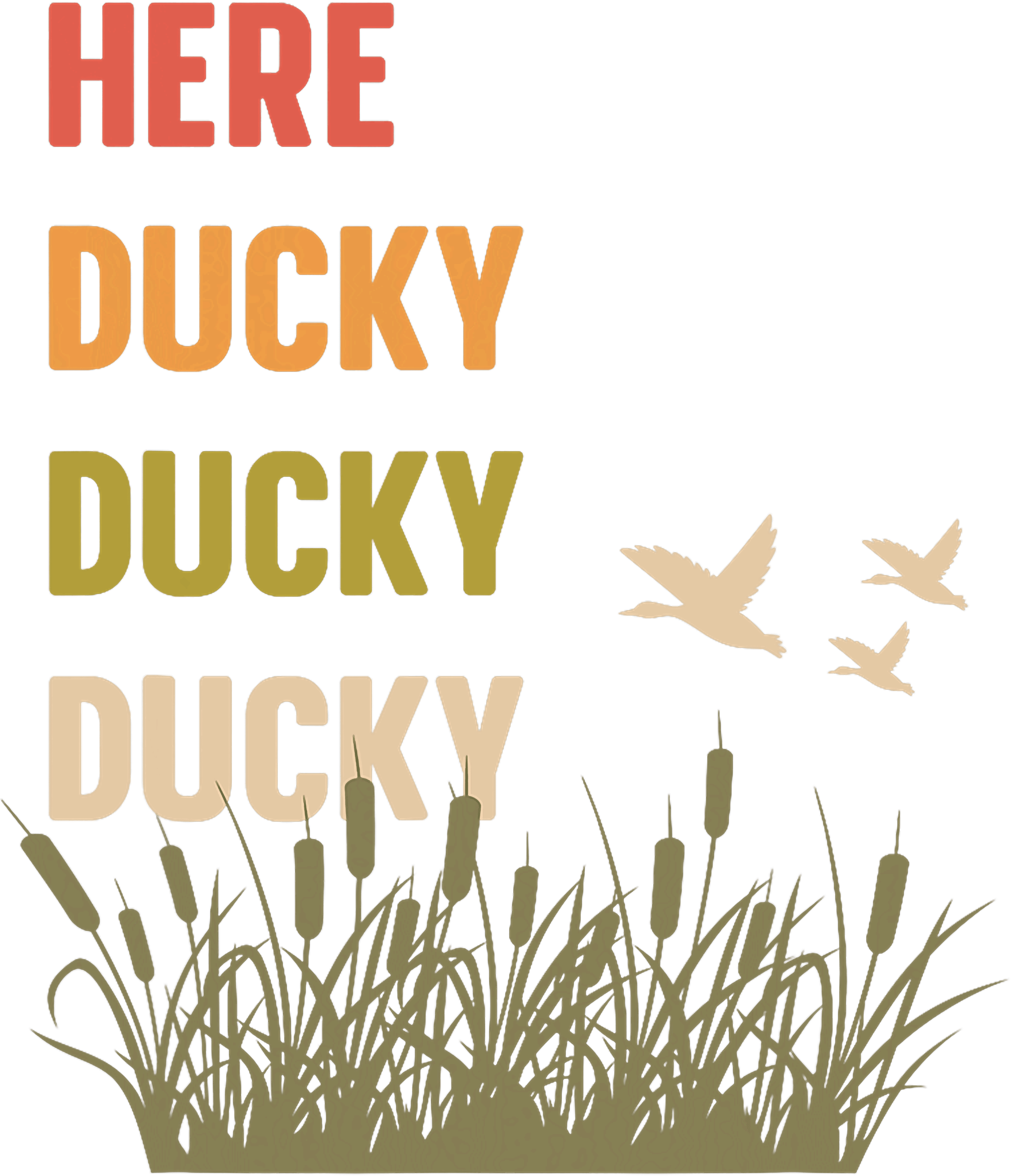 Here Ducky