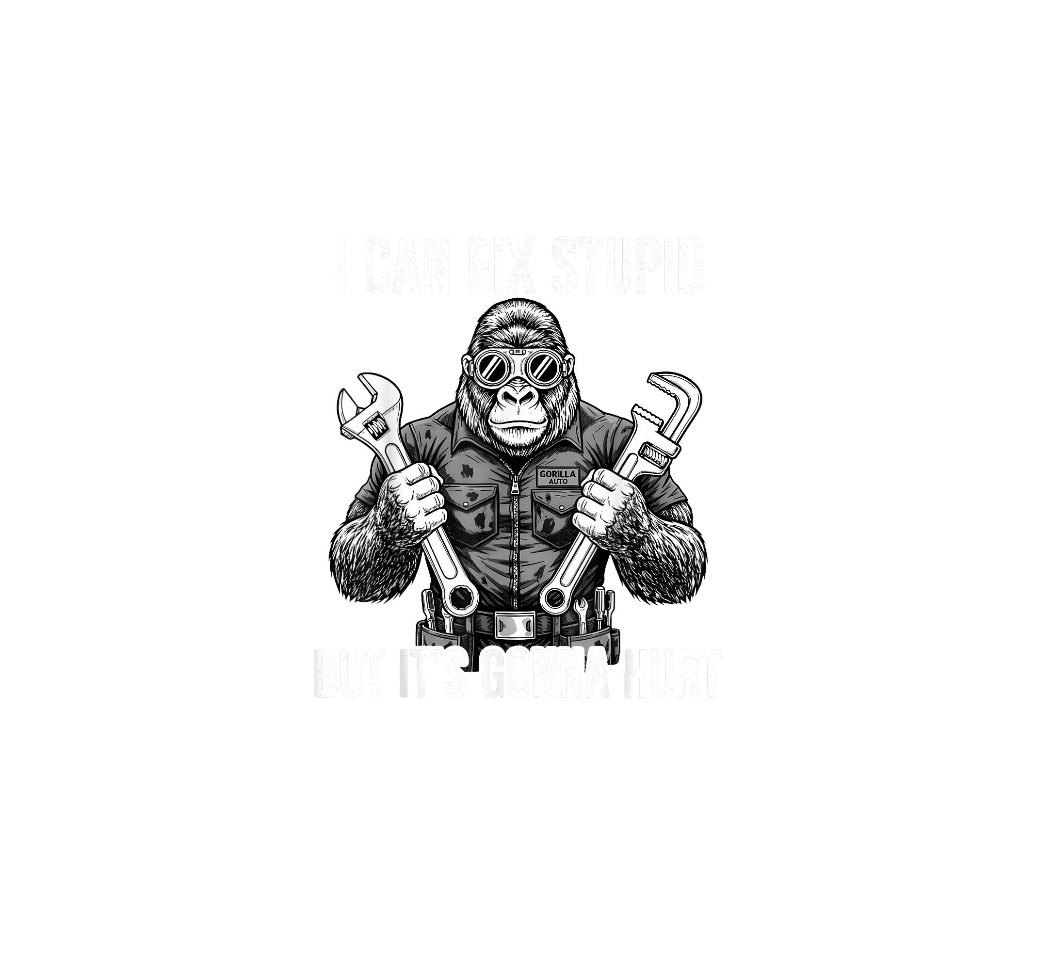 I CAN fix Stupid